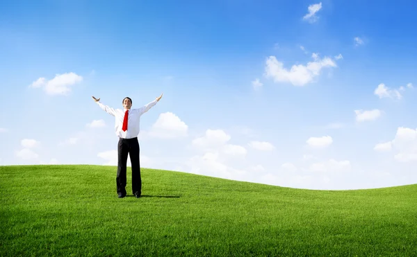 Businessman on the Field with his Arms Raised — Stock Photo, Image