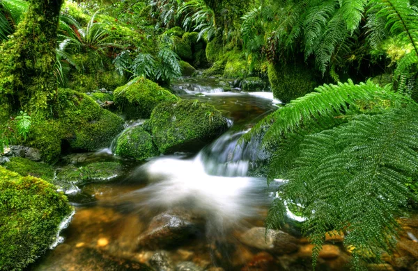 Cascading vandfald, New Zealand - Stock-foto