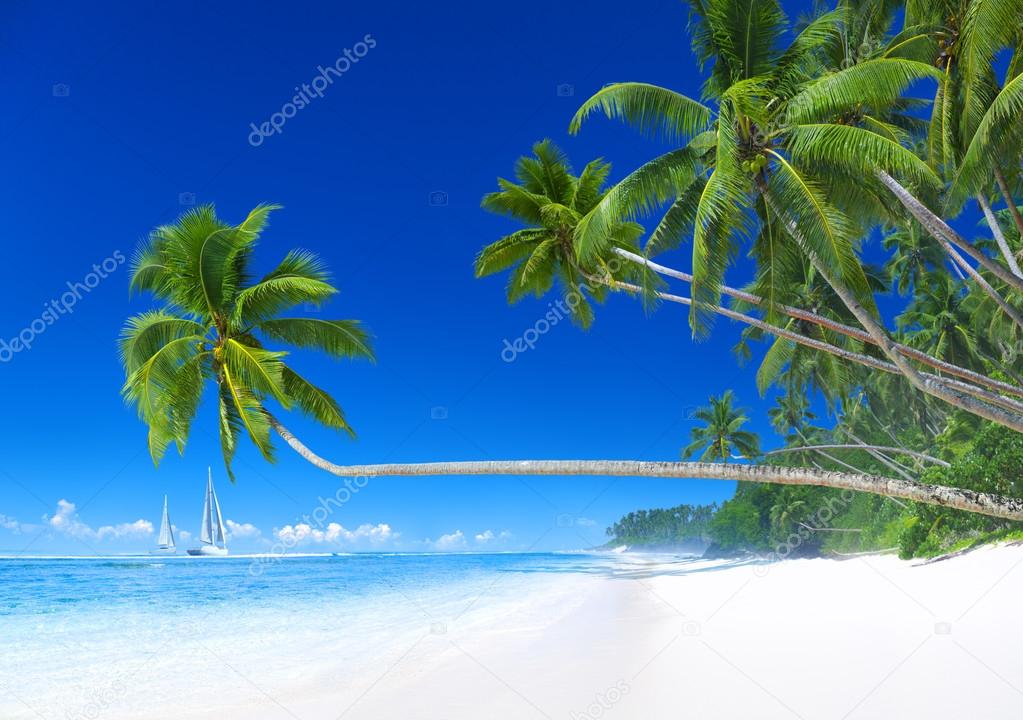 Tropical beach with sailboat