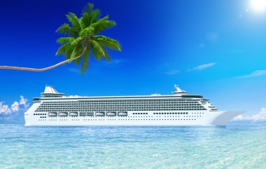 Cruise ve palmiye ağacı