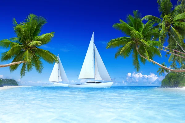 Zeilboten op strand en palm bomen — Stockfoto