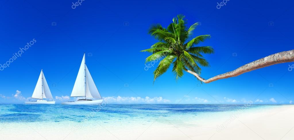 Yachts, blue sky and palm tree
