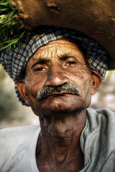 Indigener Senior-Indianer — Stockfoto