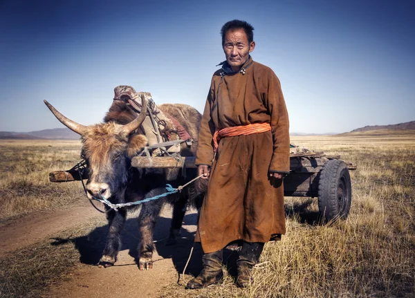 Homme marchant avec taureau avec chariot — Photo