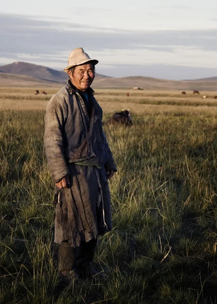 Mongolian milking man — Stock Photo, Image