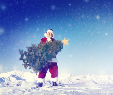 Noel Baba taşıyan yılbaşı ağacı
