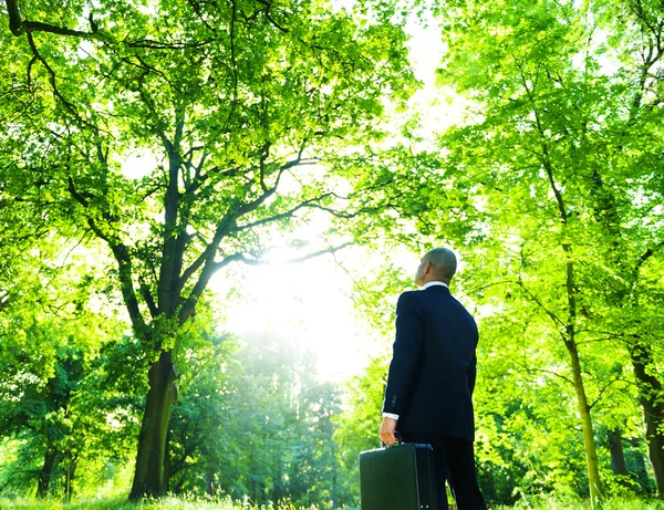 Businessman with suitcase in forest — Stock Photo, Image