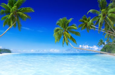 Güzel tropikal plaj