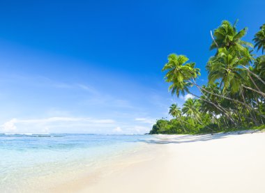 Güzel tropikal plaj