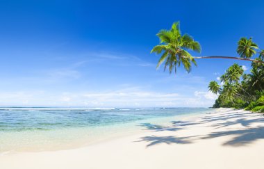 Güzel tropikal plaj