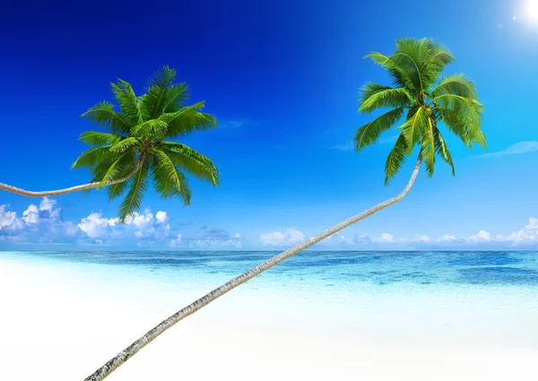 Tropisch paradijs strand — Stockfoto