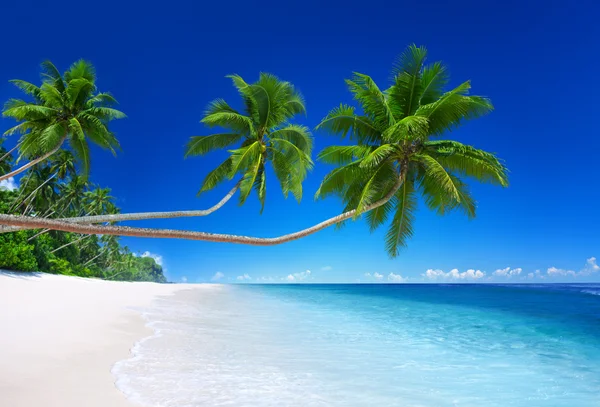 Beautiful tropical beach — Stock Photo, Image