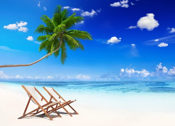 Tropical Beach med två stolar — Stockfoto