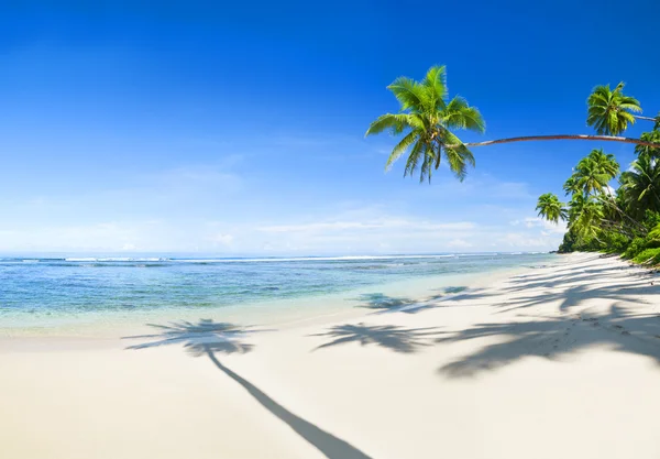 Hermosa playa tropical — Foto de Stock