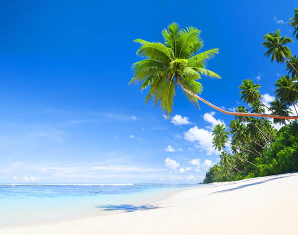 Beautiful tropical beach