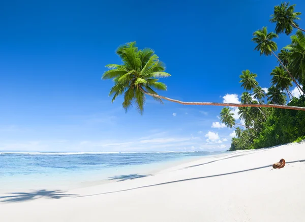 Mooi tropisch strand — Stockfoto