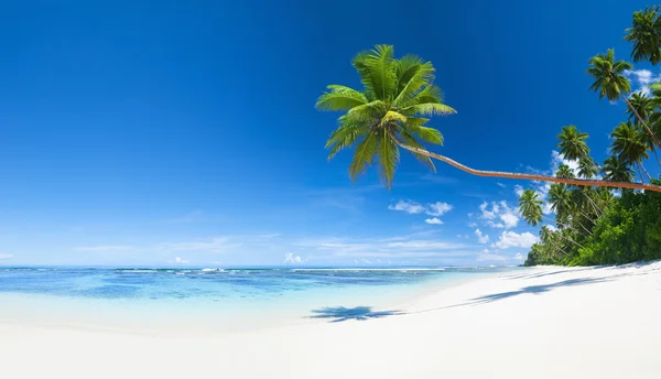 Hermosa playa tropical — Foto de Stock