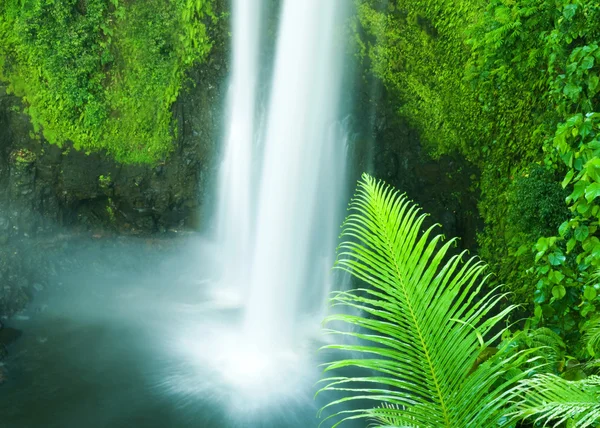 Wasserfall im Dschungel von Samoa — Stockfoto