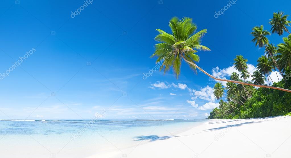 Beautiful tropical beach