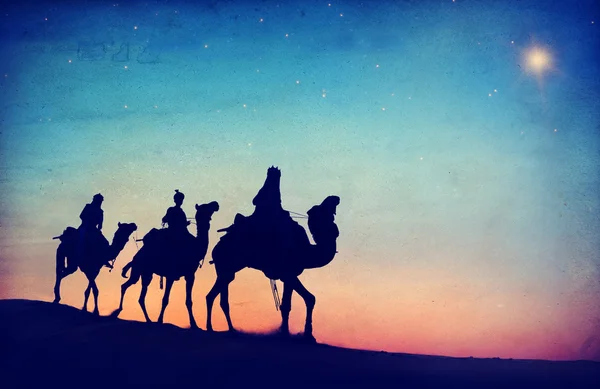 Pessoas montando camelos — Fotografia de Stock