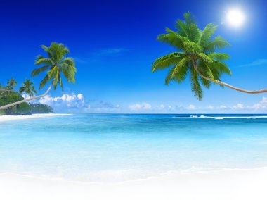 güzel bir plaj Adası