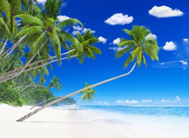 güzel bir plaj Adası