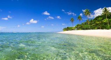 Güzel tropikal plaj