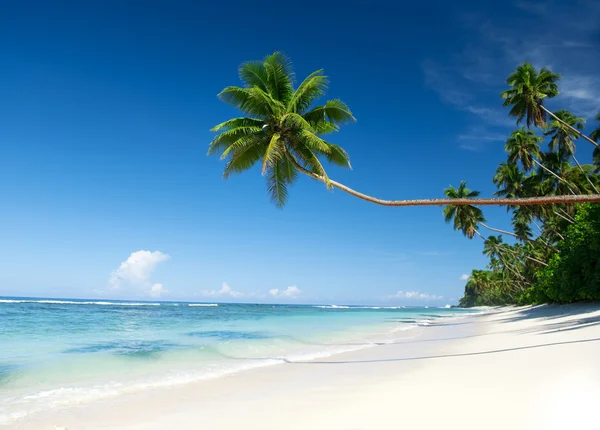 Destinazione tropicale della spiaggia — Foto Stock