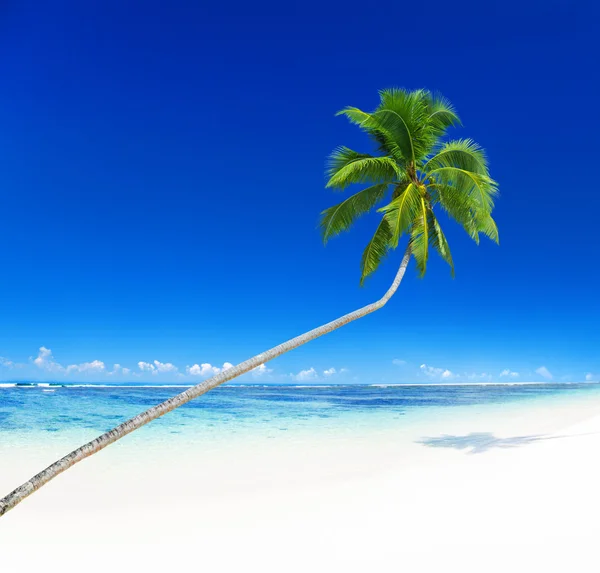 Tropisch paradijs strand — Stockfoto