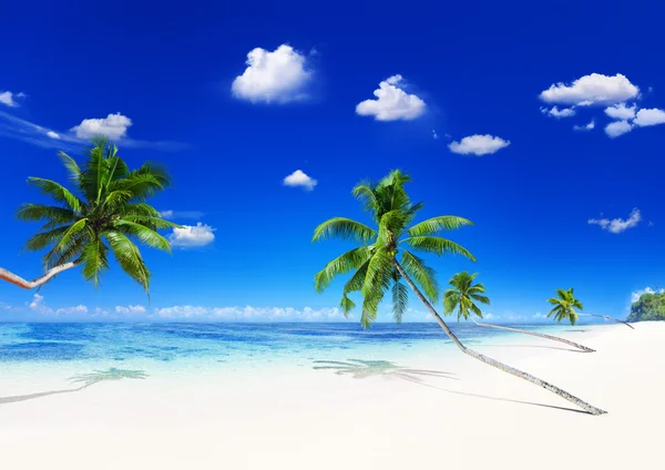 Beautiful beach on island — Stock Photo, Image