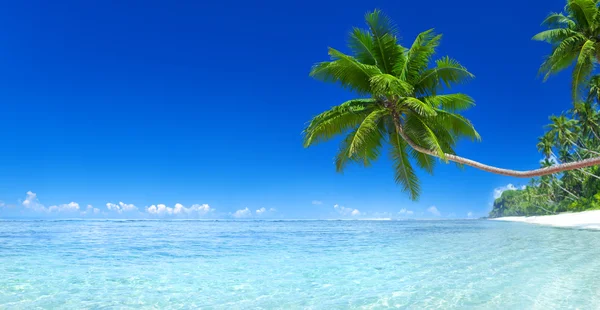 ชายหาดที่สวยงามบนเกาะ — ภาพถ่ายสต็อก