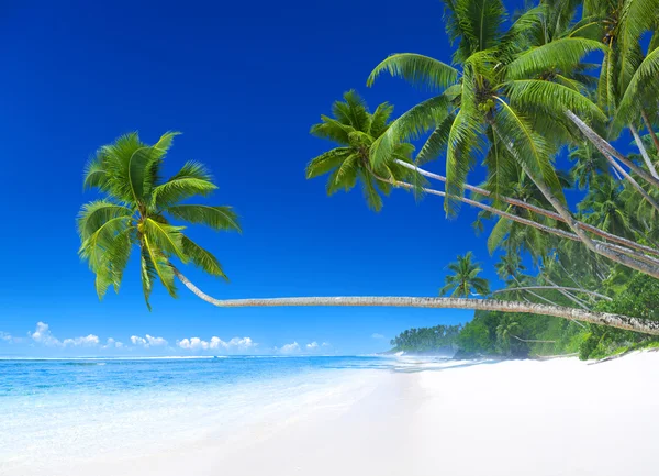 Beautiful beach on island — Stock Photo, Image