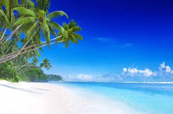Güzel bir plaj Adası — Stok fotoğraf