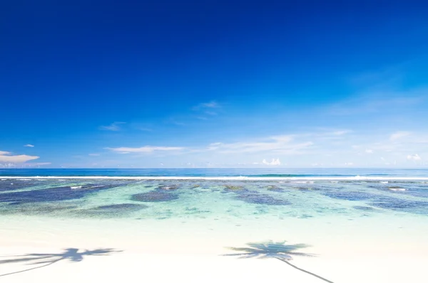 Hermosa playa tropical — Foto de Stock