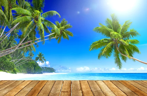 Spiaggia tropicale paradisiaca — Foto Stock