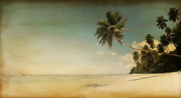 Beach and Palm Trees — Stock Photo, Image