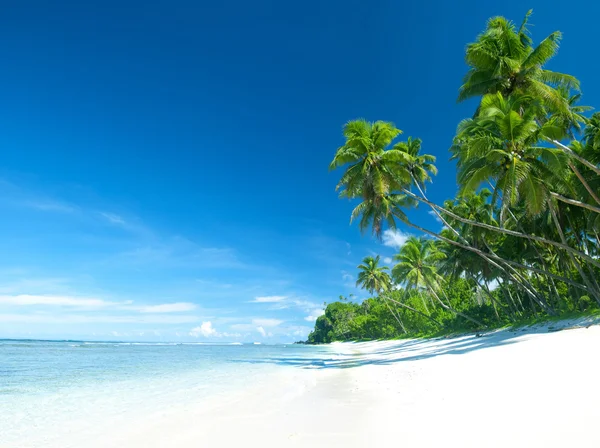 Hermosa playa tropical — Foto de Stock