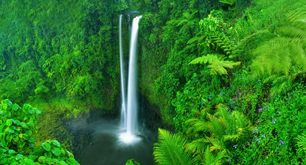 Schöner Wasserfall in der Natur — Stockfoto