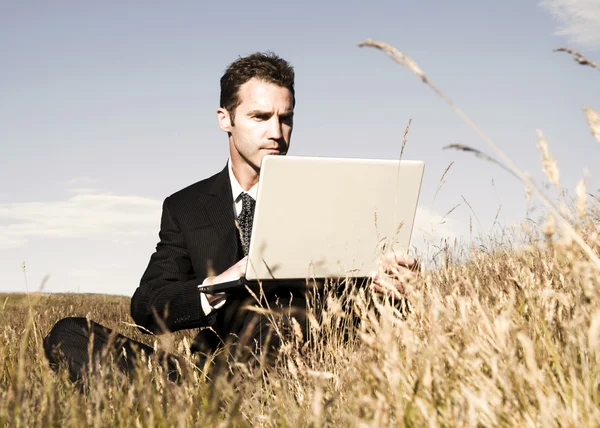 Businessman working with laptop Stock Image