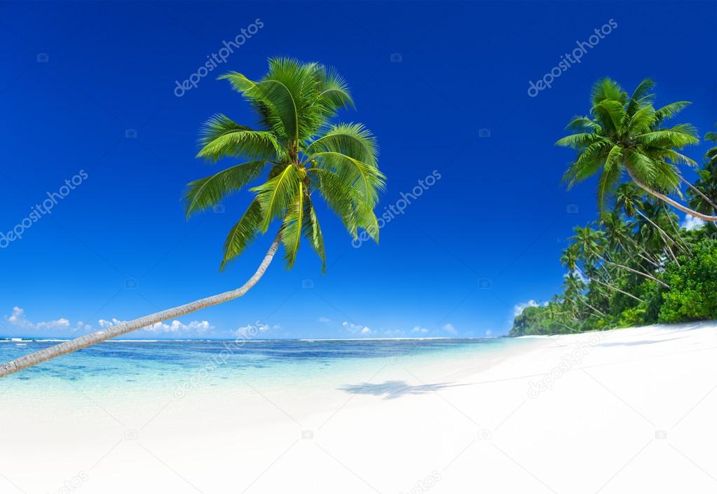 Tropical Paradise Beach