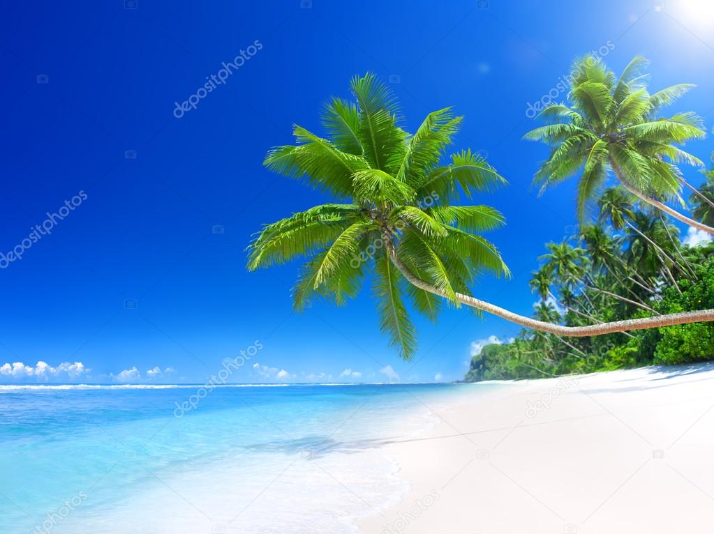 Tropical Paradise Beach