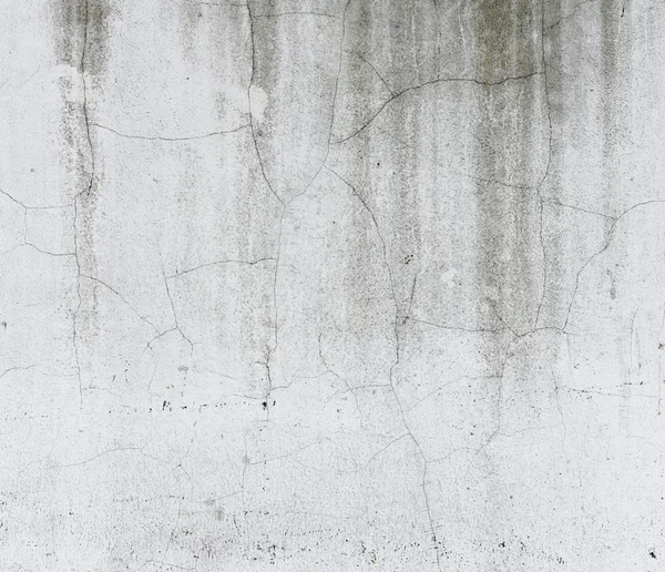 Cement Concrete Texture — Stock Photo, Image