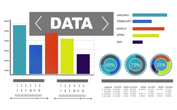 Konsep Informasi Statistik Data — Stok Foto