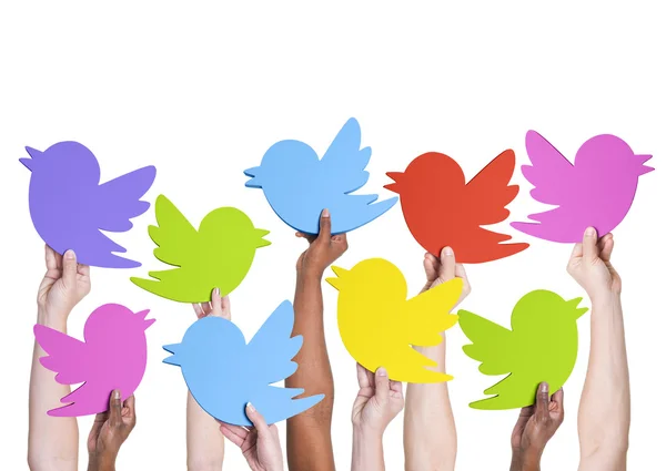 Міхур Твітер знаки птахів в руках — стокове фото