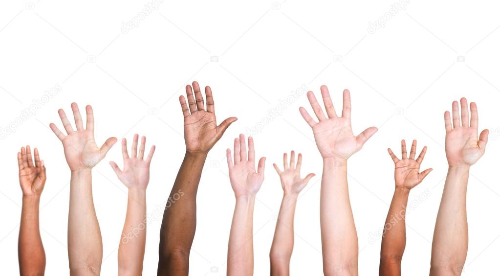 Diverse Ethnic Hands Variation Unity