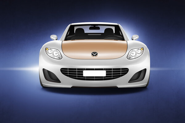 Contemporary Elegance Car