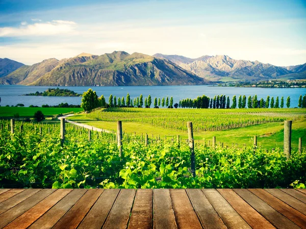 Bella campagna naturale in Nuova Zelanda — Foto Stock