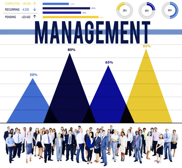 Koncepcja zarządzania organizacją Manager — Zdjęcie stockowe