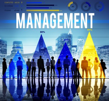 Yönetim organizasyon Yöneticisi kavramı