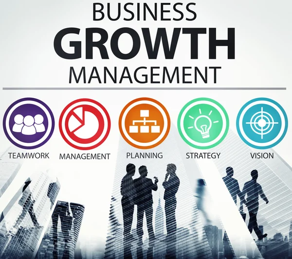 Business Strategy Management Success Concept — Stock Photo, Image